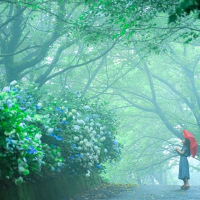 粟井神社