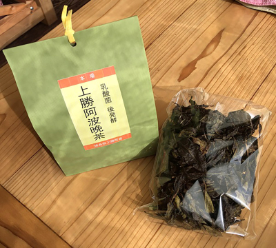 施設紹介